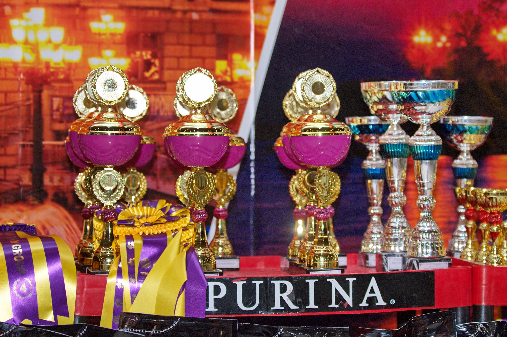 CACIB "ВОСТОК ЭЛИТА 2020"