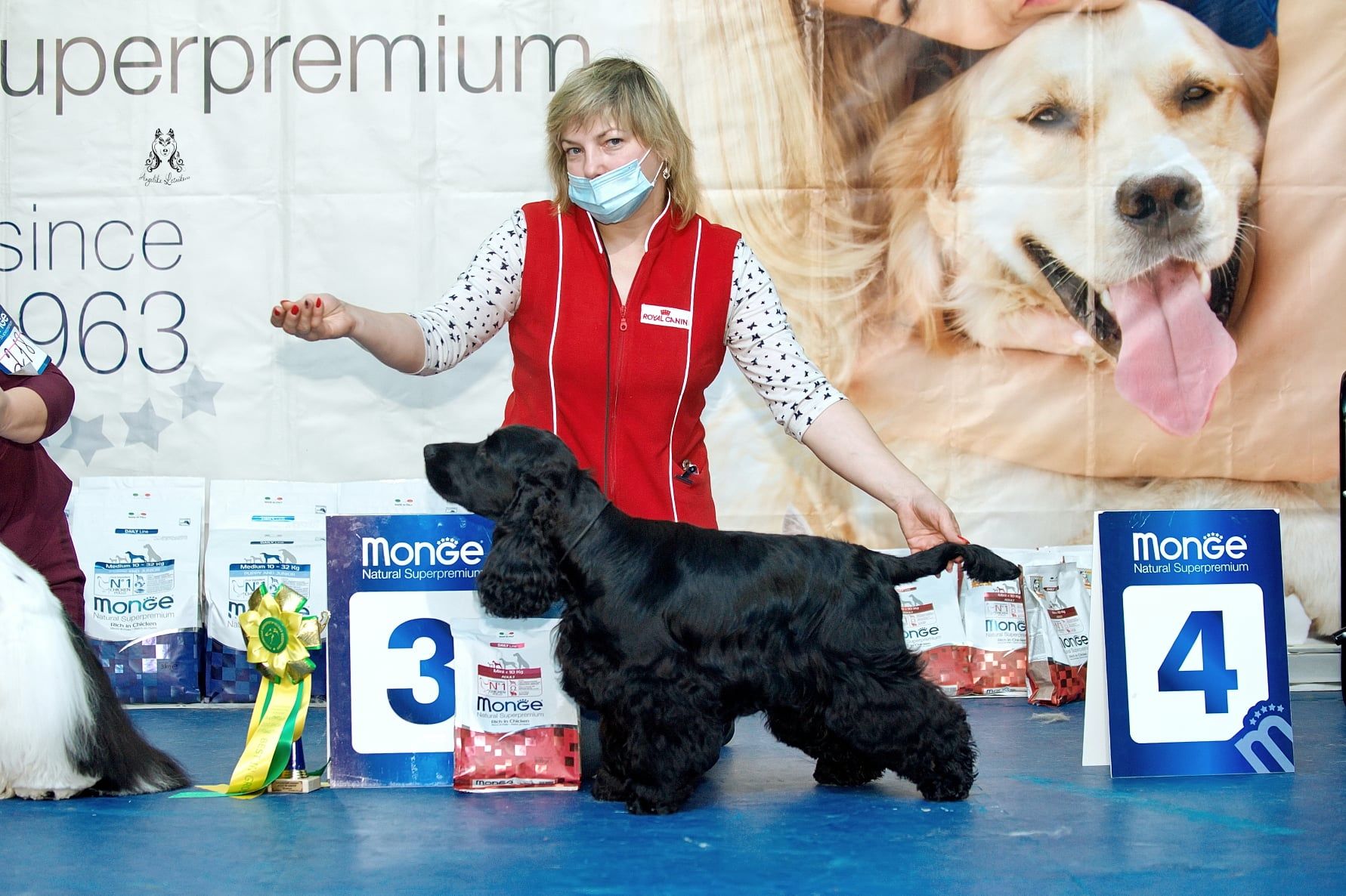 Выставка собак "ХАБАРОВСКИЙ СЮРПРИЗ 2020"