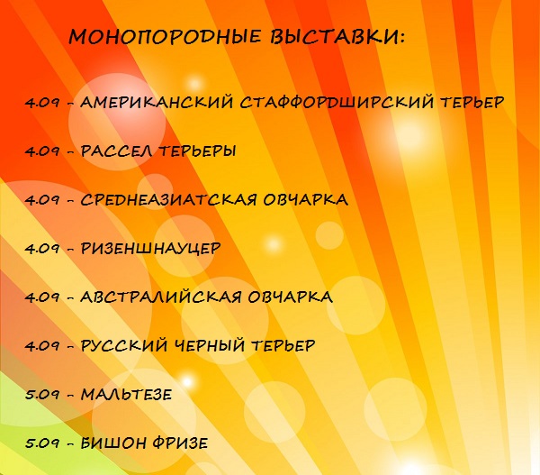 187857657_10216752905214798_1157724855935161068_n