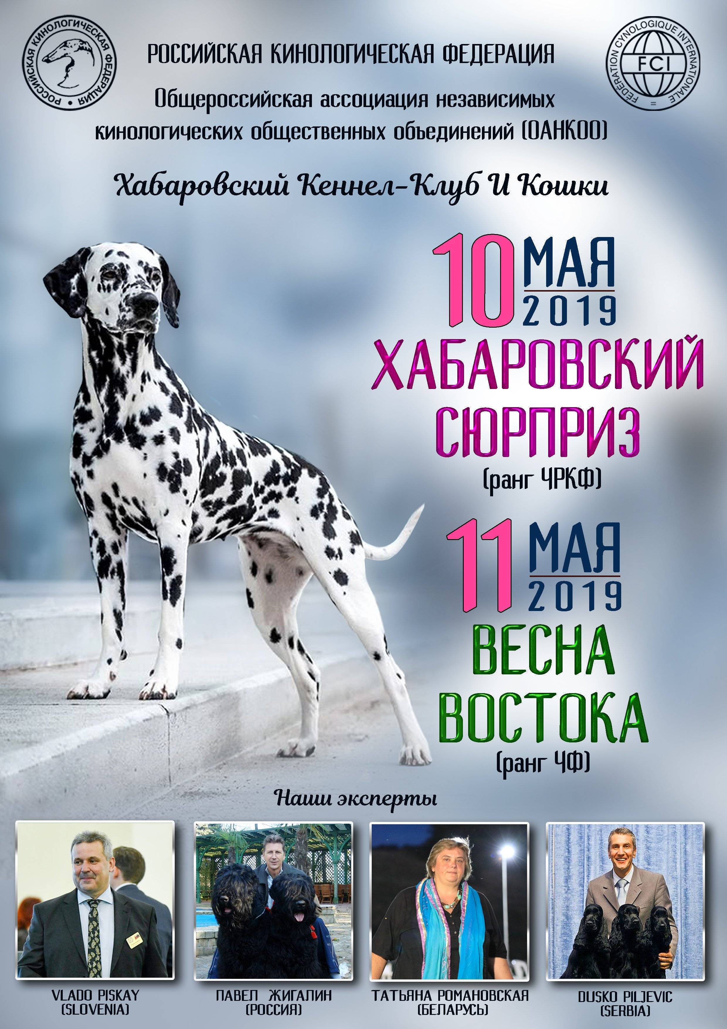 Хабаровский сюрприз 2019, Весна Востока 2019